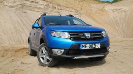 Dacia Sandero II Stepway 1.5 dCi 90KM - galeria redakcyjna - widok z przodu