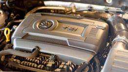 Skoda Octavia RS 2.0 TSI - dyskrecja gwarantowana