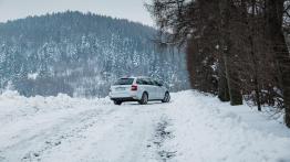 Skoda Octavia Drive 1.0 TSI 115 KM - galeria redakcyjna - widok z tyłu