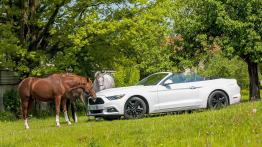 Ford Mustang Convertible 2.3 EcoBoost – galeria redakcyjna