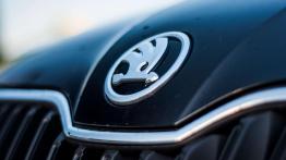 Skoda Fabia Combi 1.2 TSI Style - galeria redakcyjna - logo