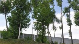 Chevrolet Orlando Minivan 2.0D 130KM - galeria redakcyjna - widok z przodu