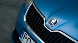 Skoda Rapid Liftback 1.6 TDI 105KM - galeria redakcyjna - logo