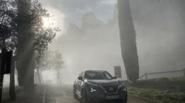 Nissan Juke 1.0 DIG-T 117 KM - galeria redakcyjna - widok z przodu