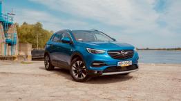 Opel Grandland X 1.6 Diesel 120 KM - galeria redakcyjna - widok z przodu