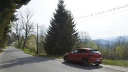 Volkswagen Polo GTI 2.0 TSI 200 KM - galeria redakcyjna