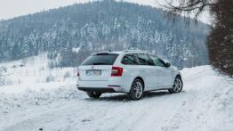 Skoda Octavia Drive 1.0 TSI 115 KM - galeria redakcyjna - widok z tyłu
