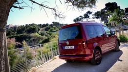 Volkswagen Caddy IV Kombi - galeria redakcyjna - widok z tyłu