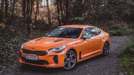 Kia Stinger GT 3.3 T-GDI 366 KM - galeria redakcyjna - inne zdjêcie