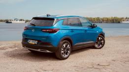Opel Grandland X 1.6 Diesel 120 KM - galeria redakcyjna - widok z tyłu