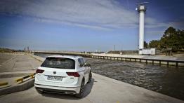 Volkswagen Tiguan (2017) - galeria redakcyjna