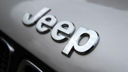 Jeep Renegade - galeria redakcyjna - logo