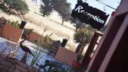 Skoda Yeti w Namibii - dzień 2 - galeria redakcyjna - inne zdjęcie