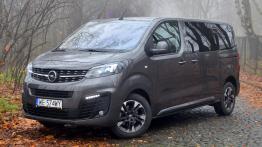 Opel Zafira Life 2.0 Diesel 177 KM - galeria redakcyjna