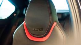 Skoda Octavia RS 2.0 TSI - dyskrecja gwarantowana