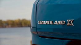 Opel Grandland X 1.6 Diesel 120 KM - galeria redakcyjna