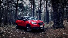 Opel Crossland X 1.2 Ecotec Turbo 110 KM - galeria redakcyjna - widok z przodu
