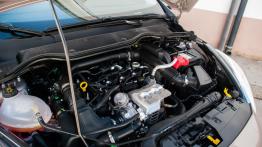 Ford Fiesta 1.0 EcoBoost 140 KM – galeria redakcyjna