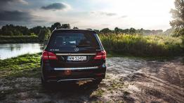 Mercedes GLS 500 - galeria redakcyjna