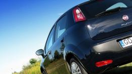 Fiat Punto Punto Evo  KM - galeria redakcyjna - tył - inne ujęcie