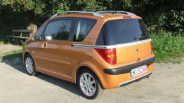 Peugeot 1007 1.4 - lewy bok