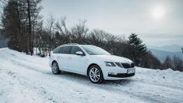 Skoda Octavia Drive 1.0 TSI 115 KM - galeria redakcyjna