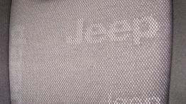 Jeep Renegade - galeria redakcyjna - fotel kierowcy, widok z przodu