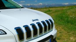 Jeep Cherokee V 2.0 TD 170KM - galeria redakcyjna - grill