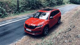 Skoda Kodiaq Sportline 2.0 TSI 180 KM - galeria redakcyjna - widok z góry
