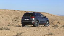 Citroen C5 Aircross - galeria redakcyjna  - widok z tyłu