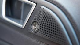 Ford EcoSport - galeria redakcyjna