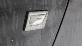 Lexus RX III SUV  Facelifting 350 277KM - galeria redakcyjna - emblemat boczny