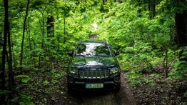 Jeep Compass Facelifting 2.0 156KM - galeria redakcyjna - widok z przodu