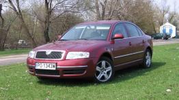 Skoda Superb 2.0 TDI Elegance  06.2006 - galeria redakcyjna - widok z przodu