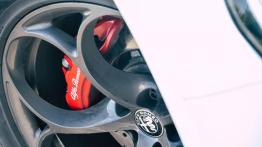 Alfa Romeo Stelvio Quadrifoglio - galeria redakcyjna