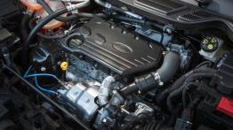 Ford EcoSport - galeria redakcyjna