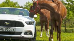 Ford Mustang Convertible 2.3 EcoBoost – galeria redakcyjna