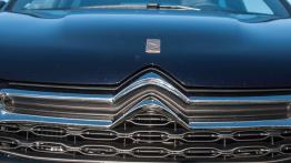 DS4 1955 1.2 PureTech 131 KM - galeria redakcyjna - logo