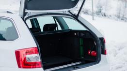 Skoda Octavia Drive 1.0 TSI 115 KM - galeria redakcyjna