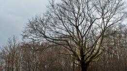 Kia Optima Kombi GT - galeria redakcyjna