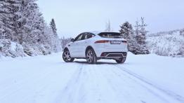 Jaguar E-Pace - galeria redakcyjna - widok z tyłu