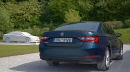 Skoda Superb III Sedan - galeria redakcyjna - widok z tyłu