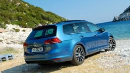 Volkswagen Golf VII Variant 2.0 TDI CR DPF BlueMotion Technology 150KM - galeria redakcyjna - widok 