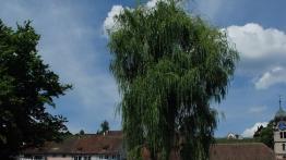 Chevrolet Aveo T300 - galeria redakcyjna - prawy bok