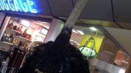 Skoda Yeti w Namibii - dzień 1 - inne zdjęcie