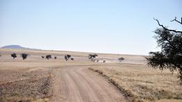 Skoda Yeti w Namibii - dzień 3 - galeria redakcyjna - inne zdjęcie