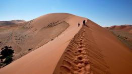 Skoda Yeti w Namibii - dzień 2 - galeria redakcyjna - inne zdjęcie