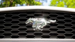 Ford Mustang Convertible 2.3 EcoBoost – galeria redakcyjna