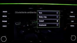 Skoda Superb L&K 2.0 TDI 150 KM - galeria redakcyjna - nawigacja gps