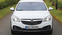 Opel Insignia 2.0 CDTI 170KM - galeria redakcyjna - widok z przodu